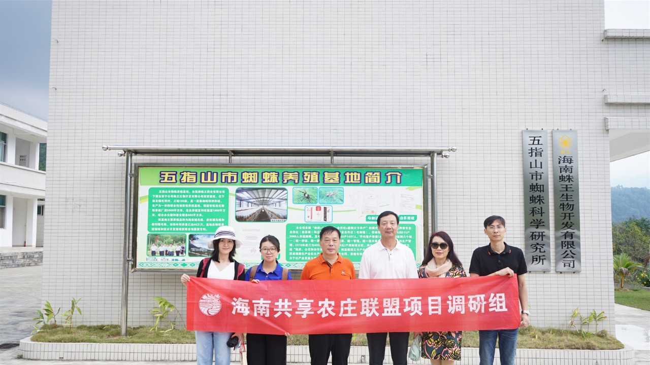 调研联盟,联合调研乡村振兴