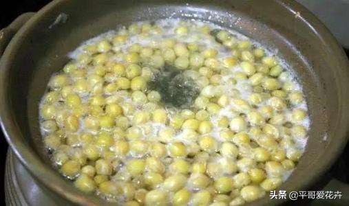 芦荟施肥过多叶子变黄怎么办,芦荟叶片可以用氮肥水喷吗