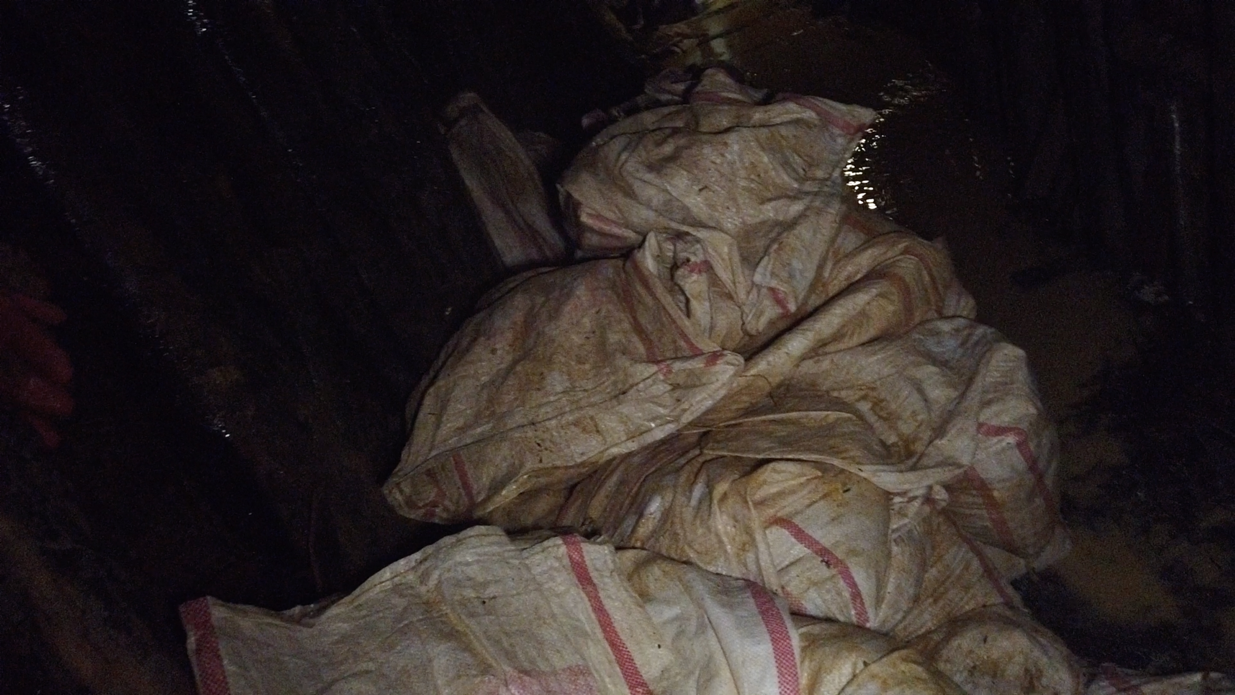 宝姐在斯里兰卡,宝姐的全部视频