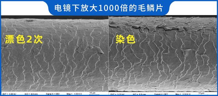 染发剂是否致癌的文章,染发剂真的健康么