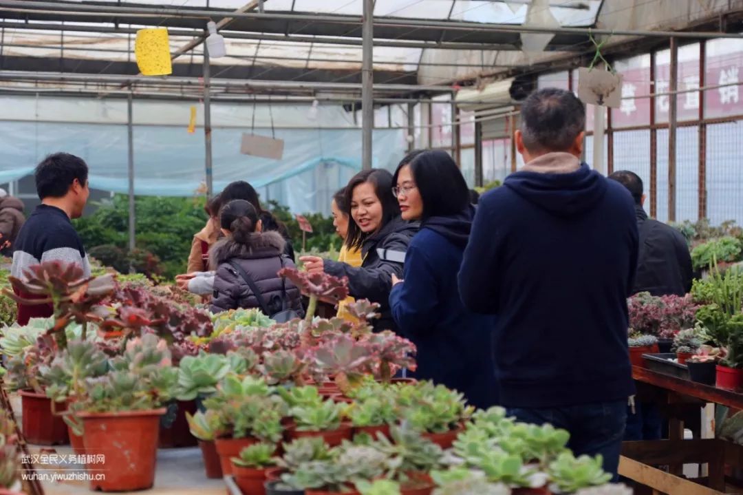 园艺沙龙|前方高能！一大波人相约逛花市，究竟淘了些啥？