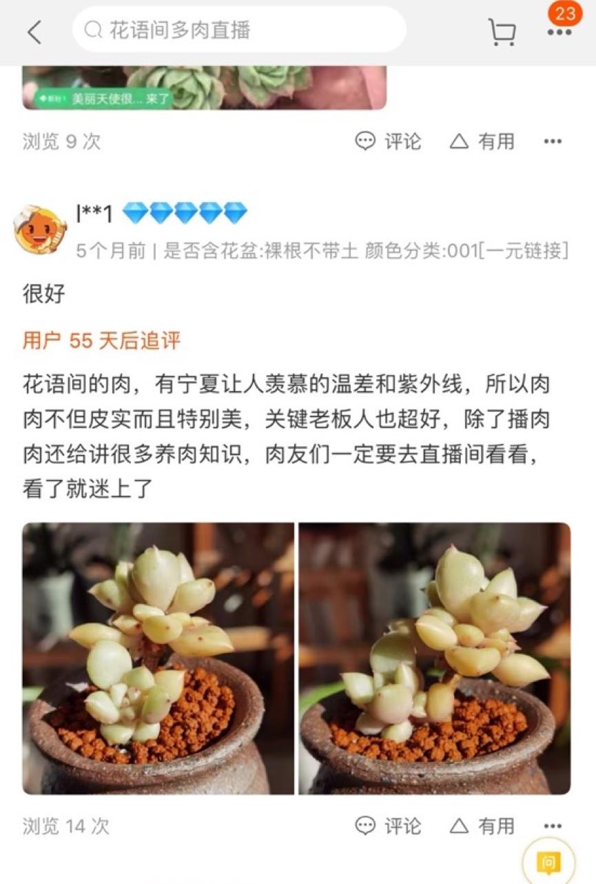 现实版《山海情》！宁夏宝妈淘宝创业种多肉带动6个本地妇女家门口就业