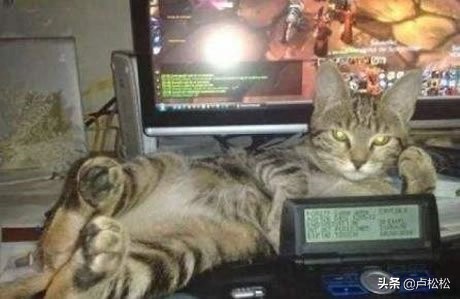 8个月裂变400万会员新模式,7天裂变9万会员经历