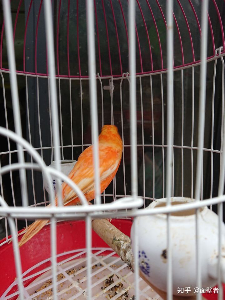 真实的苏州城市,真实的苏州相亲市场