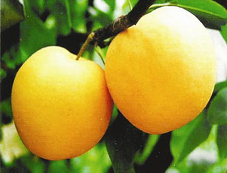 烫伤小知识幼儿,烫伤小知识分享