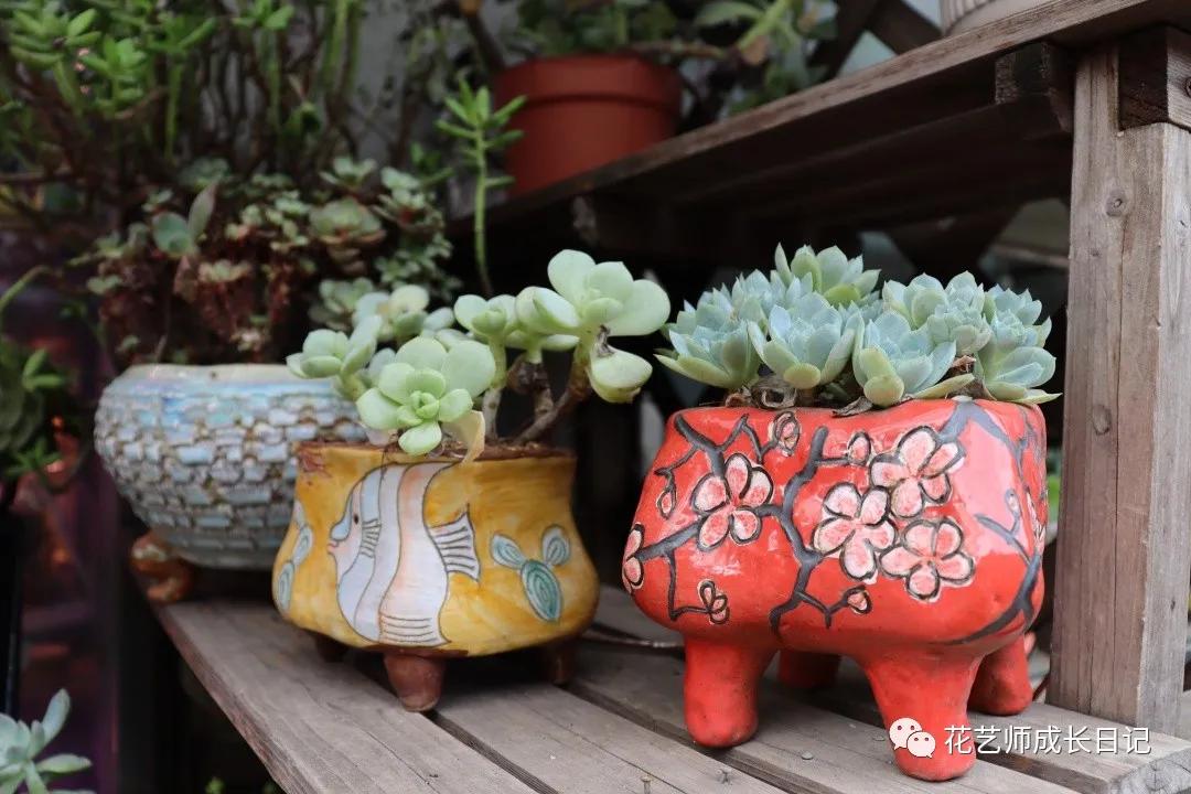 <html>
<head><title>502BadGateway</title></head>
<body>
<center><h1>502BadGateway</h1></center>
<hr><center>nginx</center>
</body>
</html>
<!--apaddingtodisableMSIEandChromefriendlyerrorpage-->
<!--apaddingtodisableMSIEandChromefriendlyerrorpage-->
<!--apaddingtodisableMSIEandChromefriendlyerrorpage-->
<!--apaddingtodisableMSIEandChromefriendlyerrorpage-->
<!--apaddingtodisableMSIEandChromefriendlyerrorpage-->
<!--apaddingtodisableMSIEandChromefriendlyerrorpage-->
