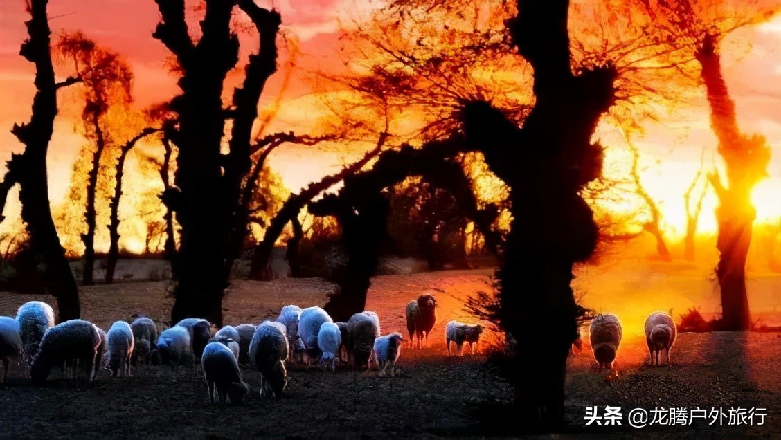 内蒙古最后的秘境！一脚跨3省，美了4季，高铁直达却低调了5000年​