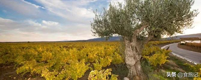 几十块钱的红酒是真的葡萄酒吗,长城干白葡萄酒几十块钱能喝吗