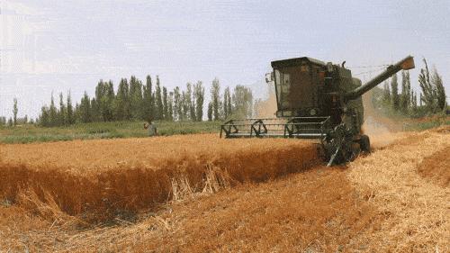 三农工作对乡村振兴的重大意义,三农工作中乡村振兴的前提是什么