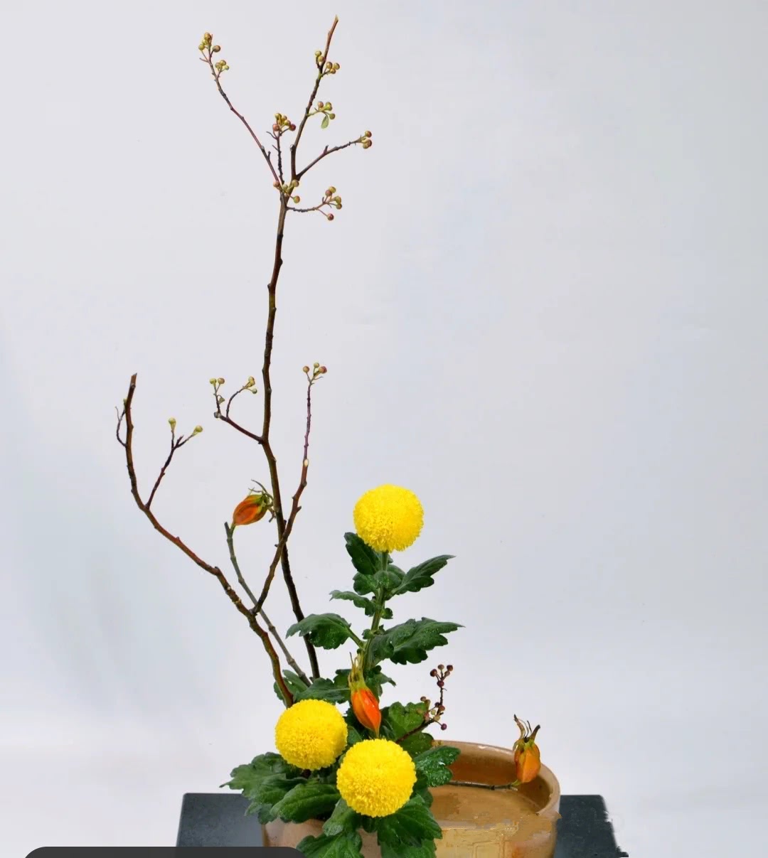 如何学习插花,如何学习插花花艺培训课程