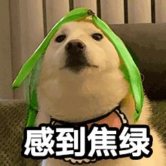 狗狗躲在床底下是表达什么意思,狗狗为什么喜欢躲床底下睡觉