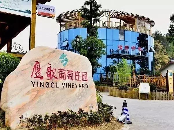 4天,在通江能做些什么?