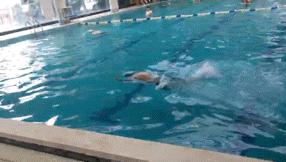 游泳教学零基础青蛙泳,蝶仰蛙正确游泳方法