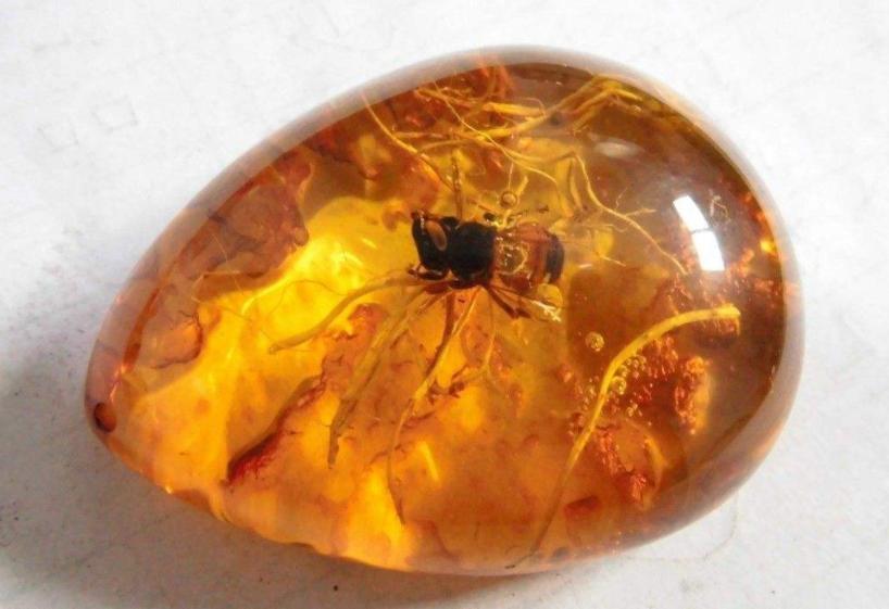 redlightgreenlight是什么意思,redlightgreenlight的中文