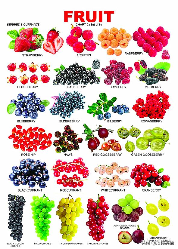 橘子和orange的区别,不是所有橘子都叫orange