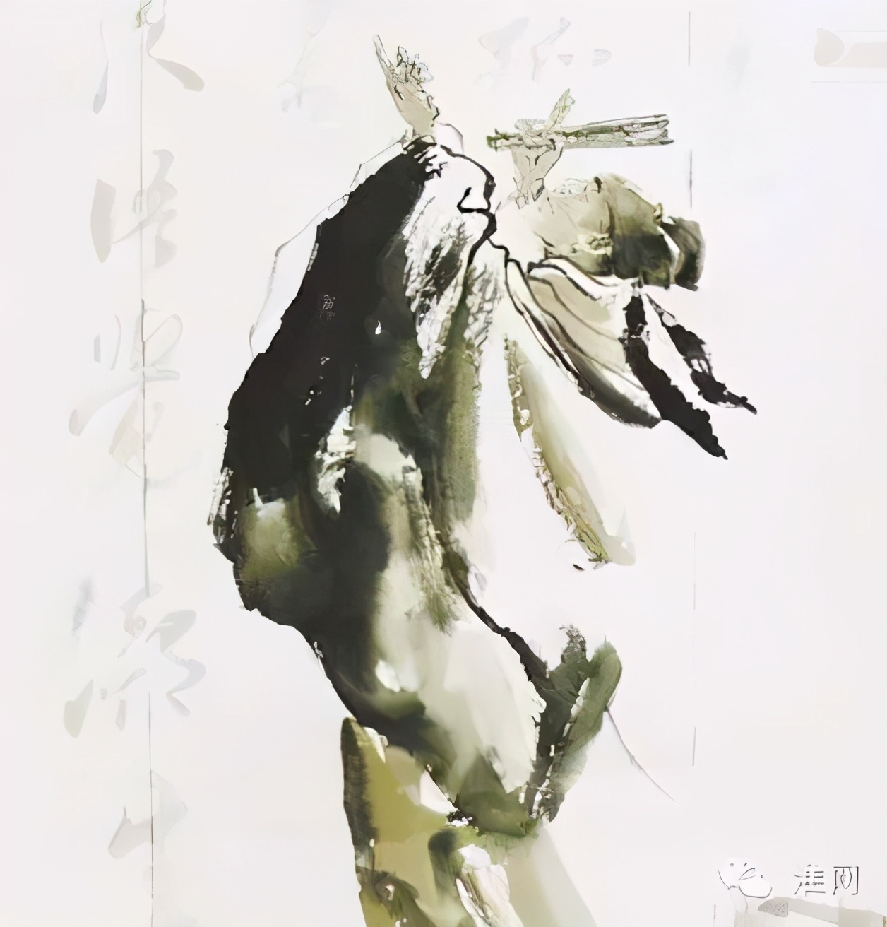 江苏淮安属于长三角区域吗,江苏淮安包括哪些区