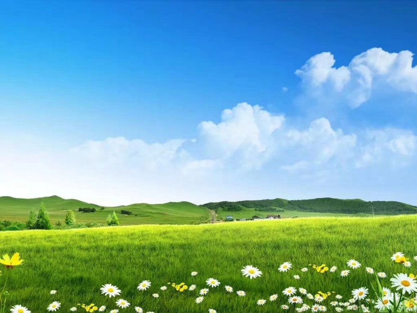 你对世界的理解正在阻碍你,你的认知就是你对世界的看法