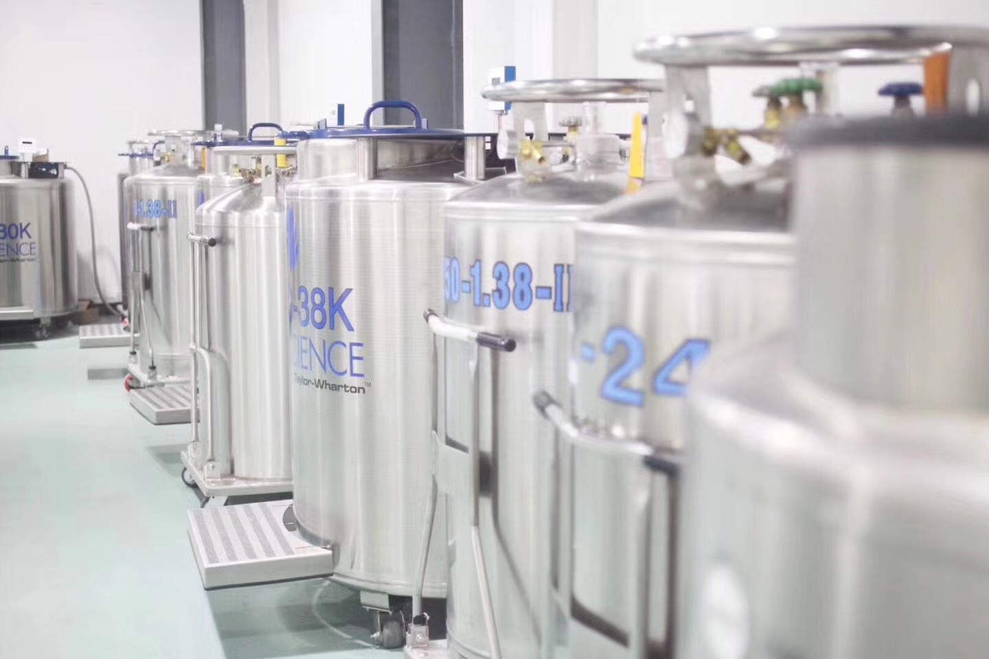 为什么说干细胞储存刻不容缓,干细胞储存知识普及是做什么的