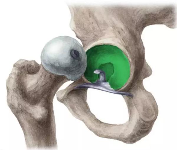 开胯，到底开的是啥玩意？