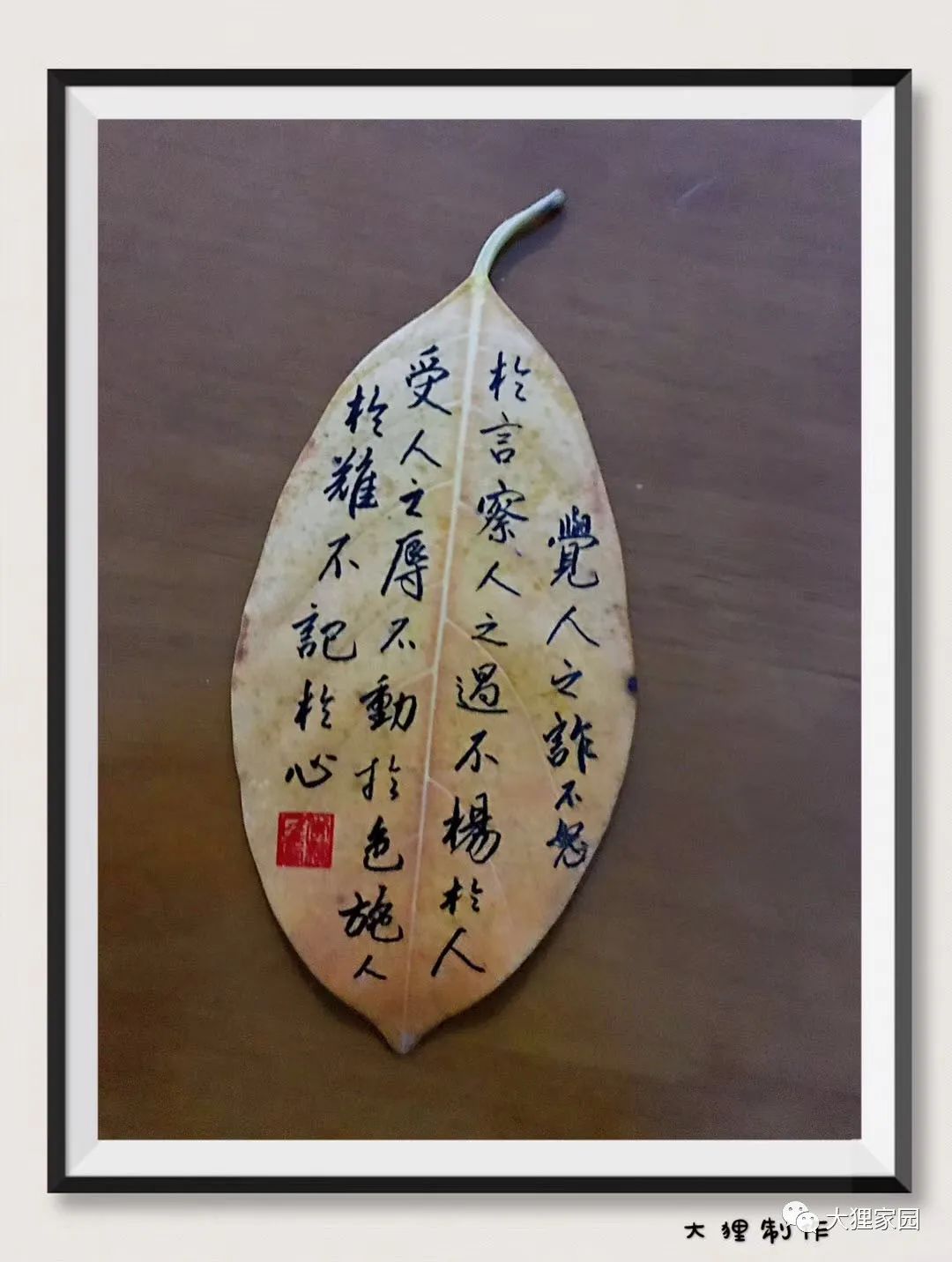 带娃的日子有滋有味,为什么别人的日子过得有滋有味儿