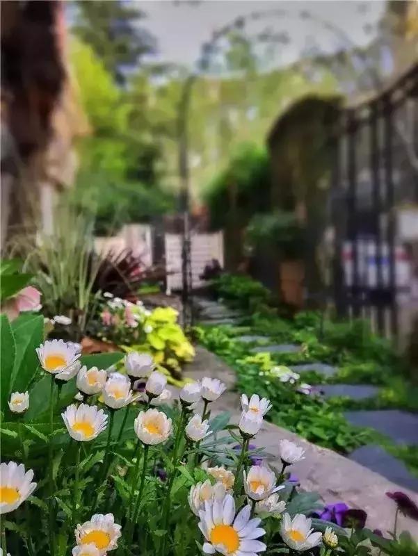 「南京家居平台·2018大赏·壹」柔美的力量