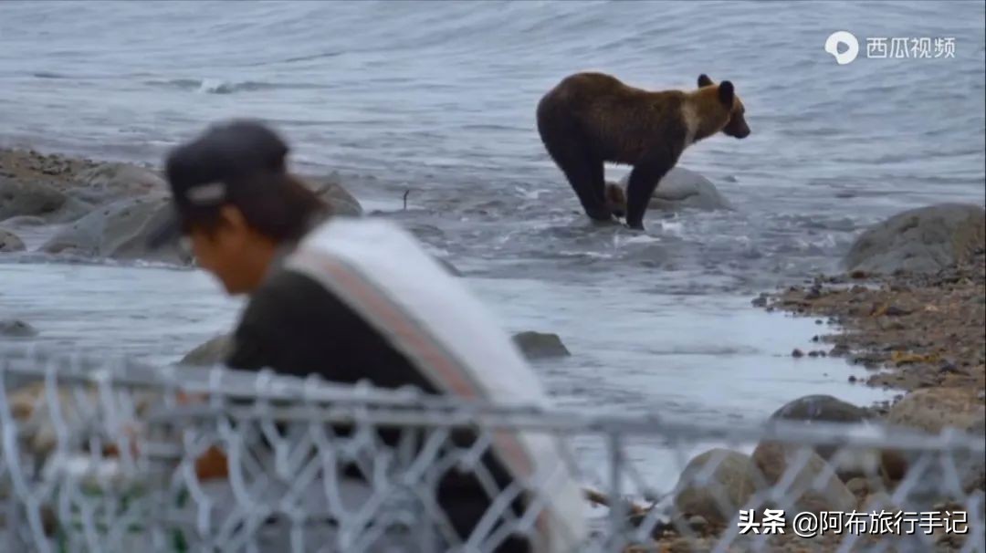 豆瓣9.1分，看过不足1500人，我却复盘了张日本最全野游图