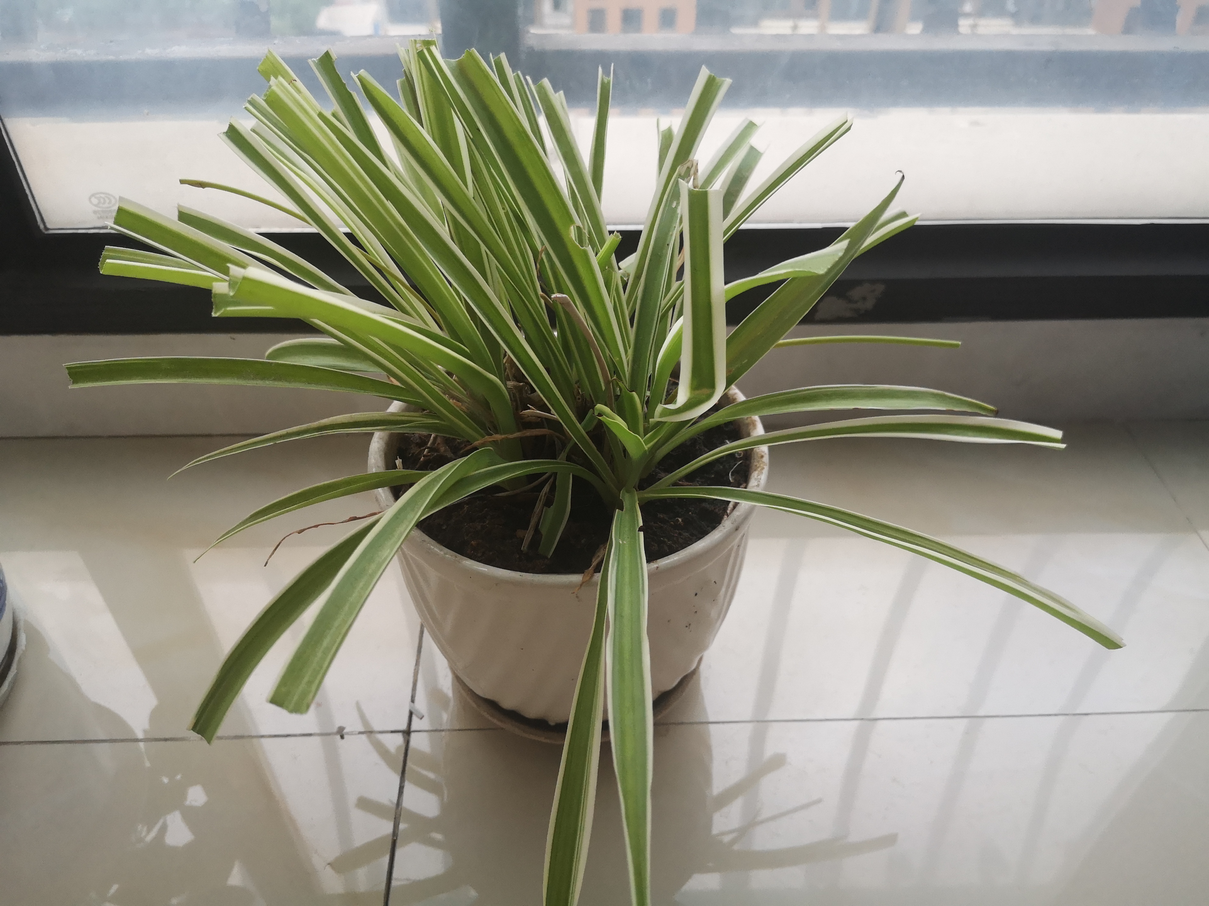 极简生活的护肤品,极简主义用的护肤品