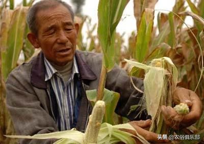 俗语雨打棺雨打坟,关于雨打棺的说法