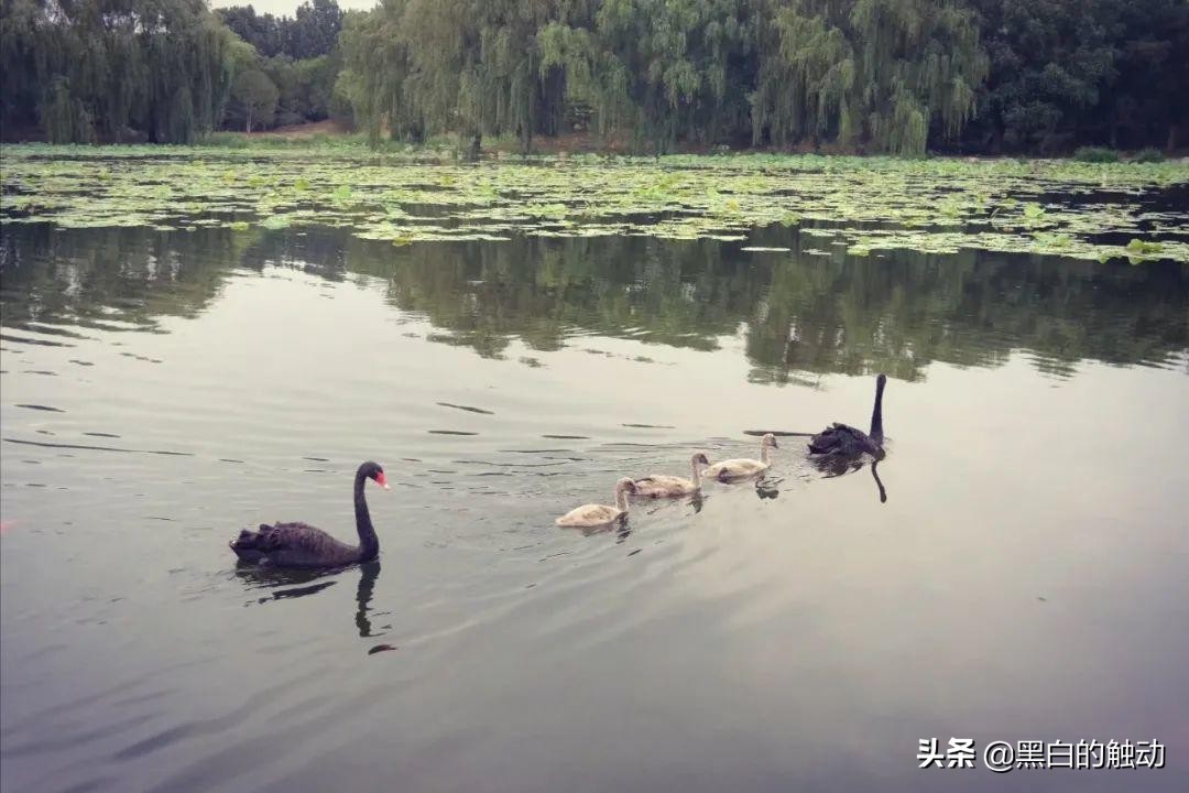 北京的名胜古迹长城,长城故宫名胜古迹