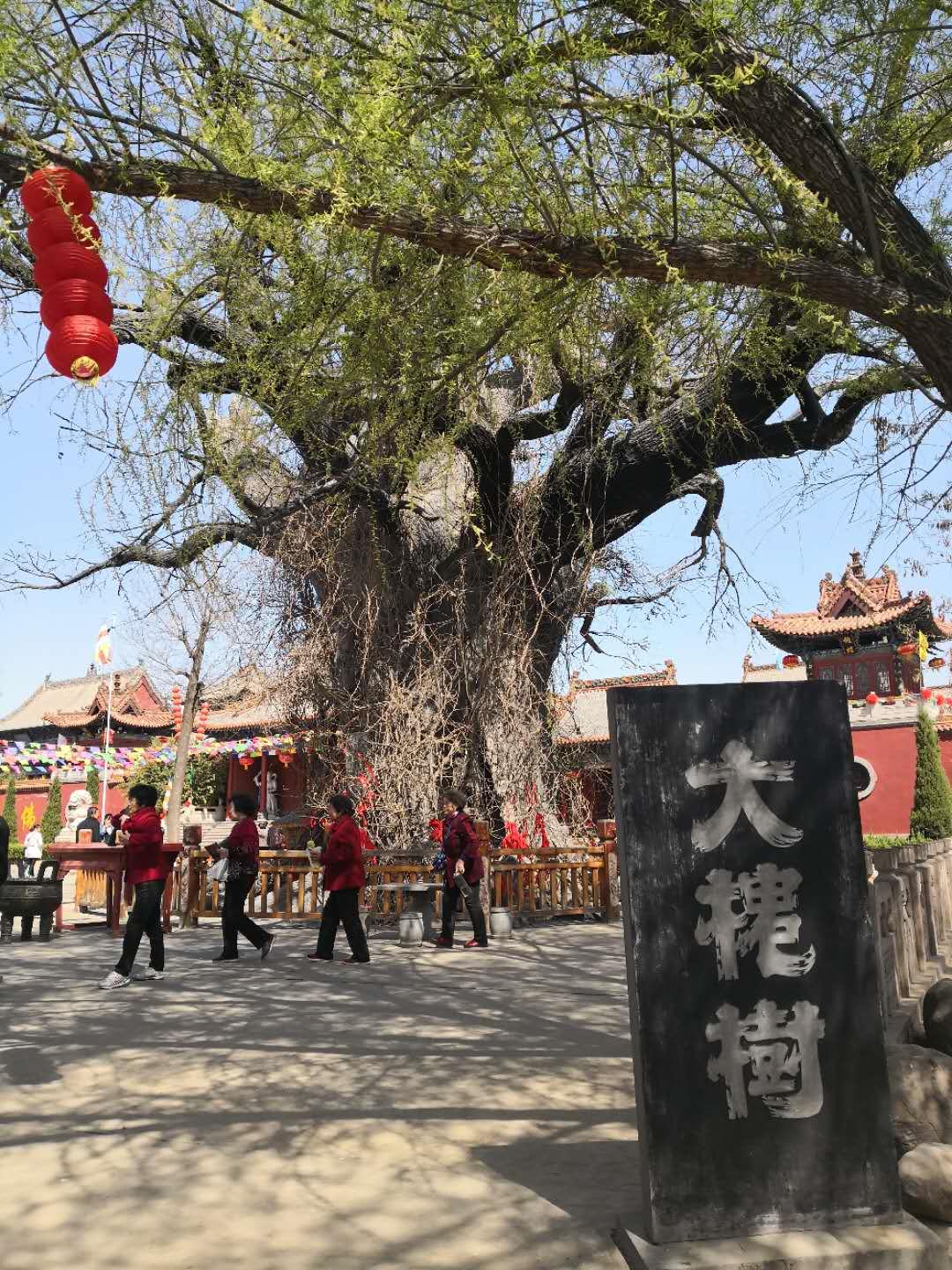 定州西关王灏,王灏庄园全景图