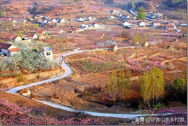 济南春季赏花自驾,济南踏青赏花新模式