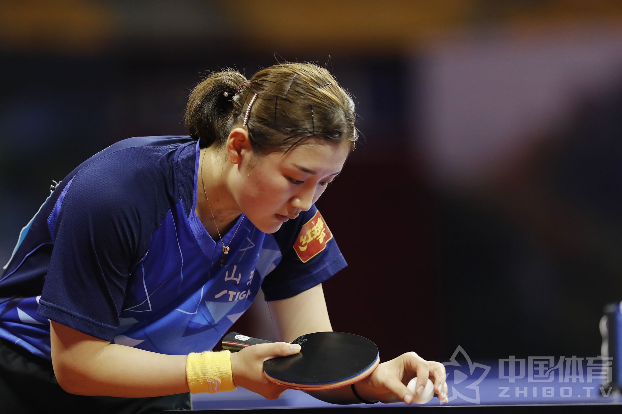 全日锦标赛结果,全日锦标赛2016