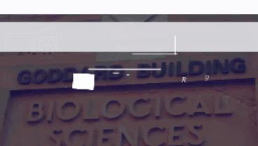 在澳洲发烧怎么办,澳洲感冒发烧药