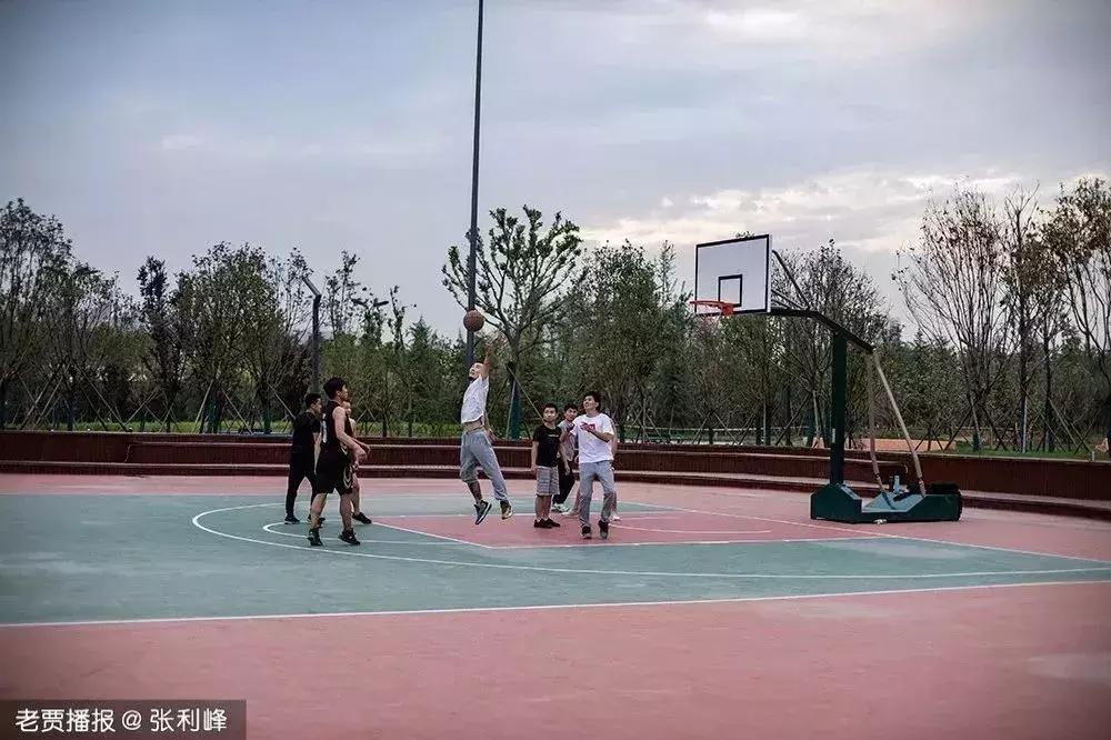 洛阳适合休息的公园,洛阳免费公园景点大全