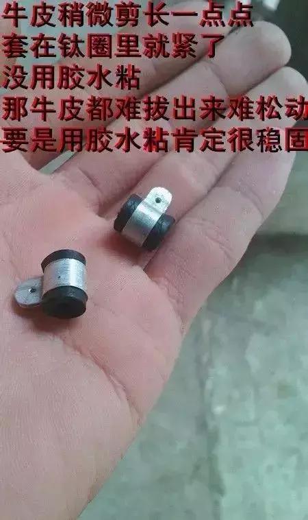 伯劳鸟饲养,没睁眼的伯劳怎样饲养