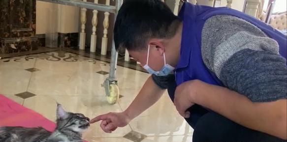 靠清洁致富,靠厨电行业赚钱