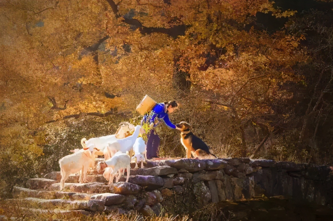 去仙剑奇侠传取景地,缙云拍仙剑