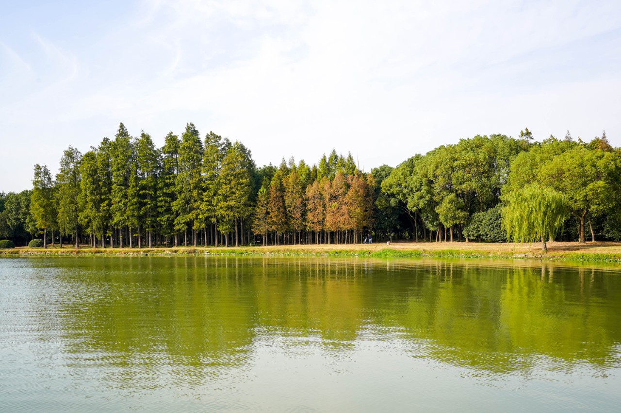 无锡万怡,无锡鼋头渚湖景酒店