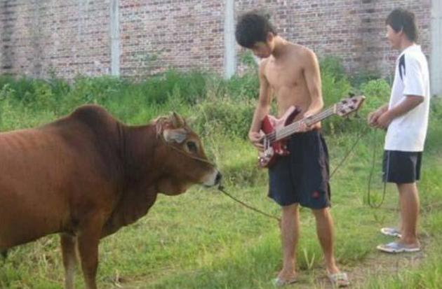 30张搞笑图片gif,笑晕过去搞笑图片