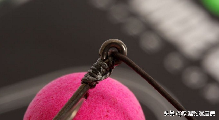 话说欧鲤钓诱饵篇,枯叶钓组和线辫钓组区别