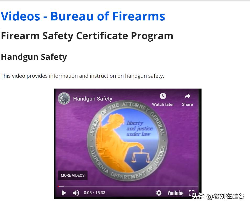 美国枪支认定标准,美国枪支安全法