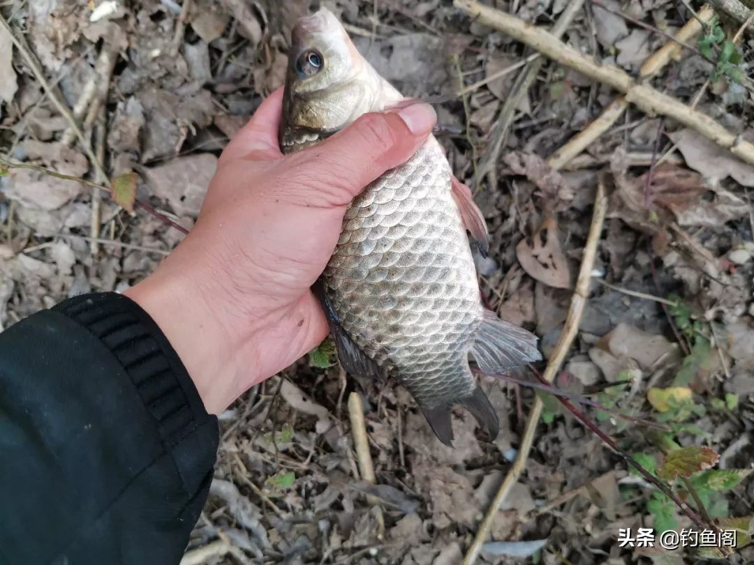 小漂好用还是大漂好用,大漂灵敏还是小漂灵敏