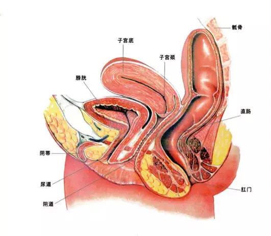 更年期需要补充激素吗,更年期要不要补充性激素