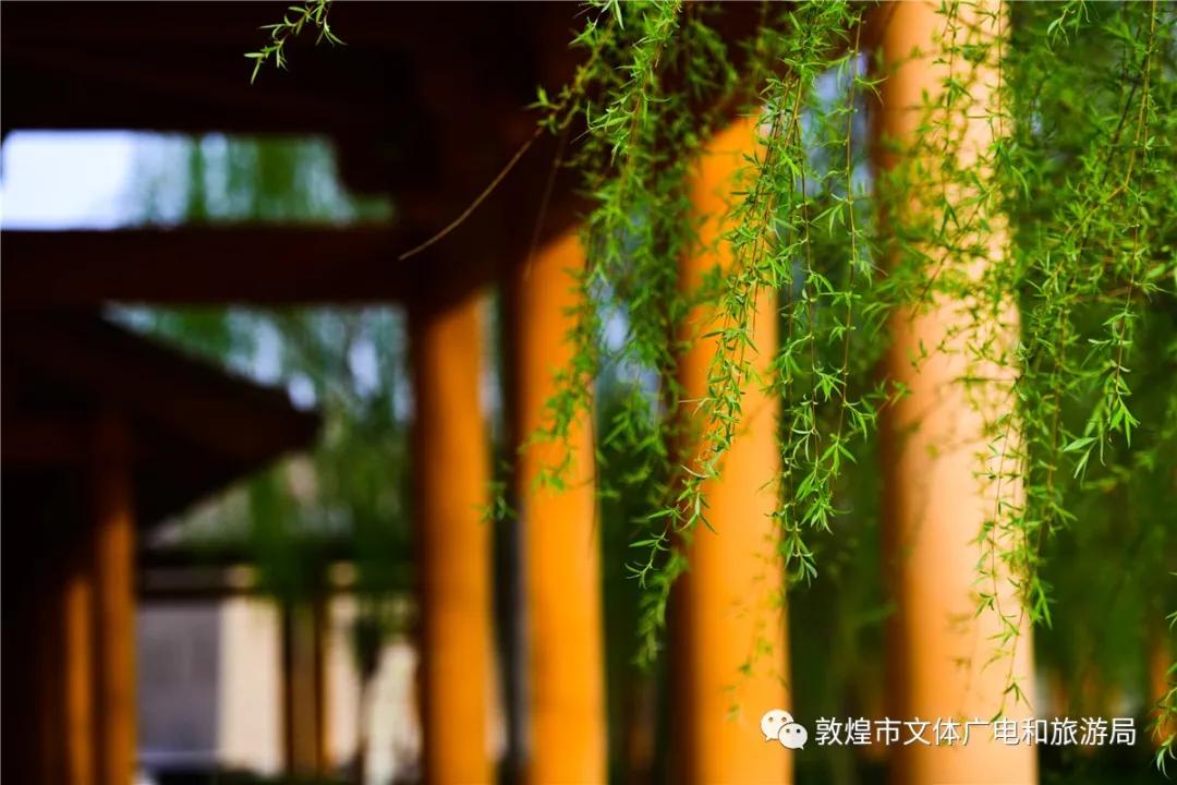 鏁︾厡灞卞簞搴櫌鏅,鏁︾厡灞卞簞搴櫌娣卞害