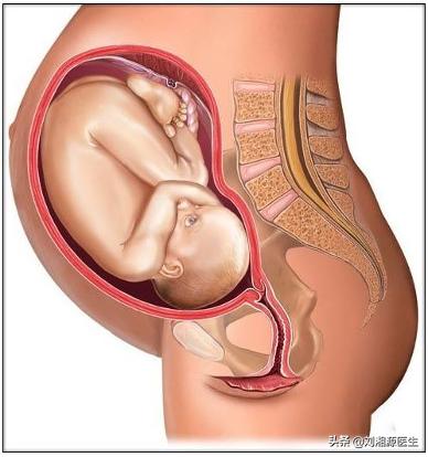 「免疫相关不良妊娠答疑解惑40」——系统性血管炎