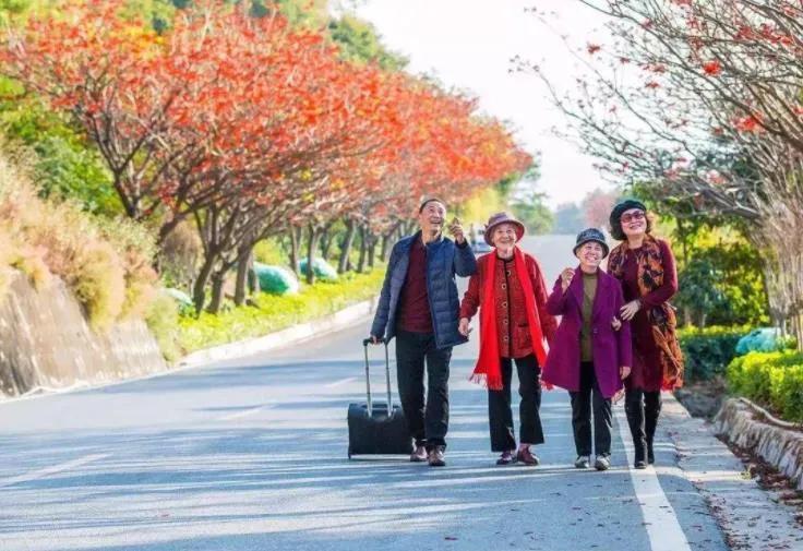 康养包含哪些,比较好的康养常用知识