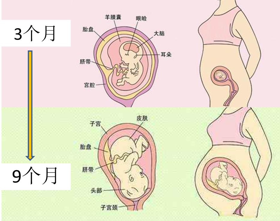 一个抑郁症妈妈进退两难!需要吃药还想要宝宝?☛:贴地气建议