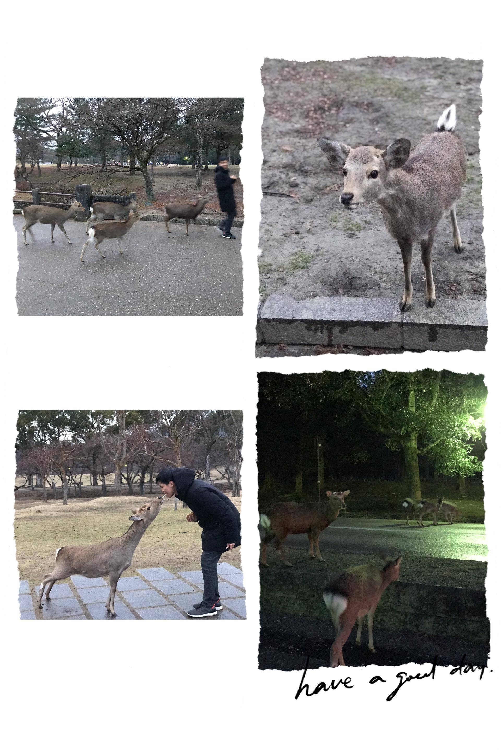 日本名古屋自由行攻略,日本高山自由行攻略