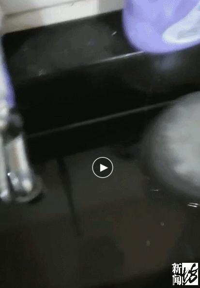 乐极生悲？上海人都开始练冰上运动了，但有人落水，有人撞断消防栓…