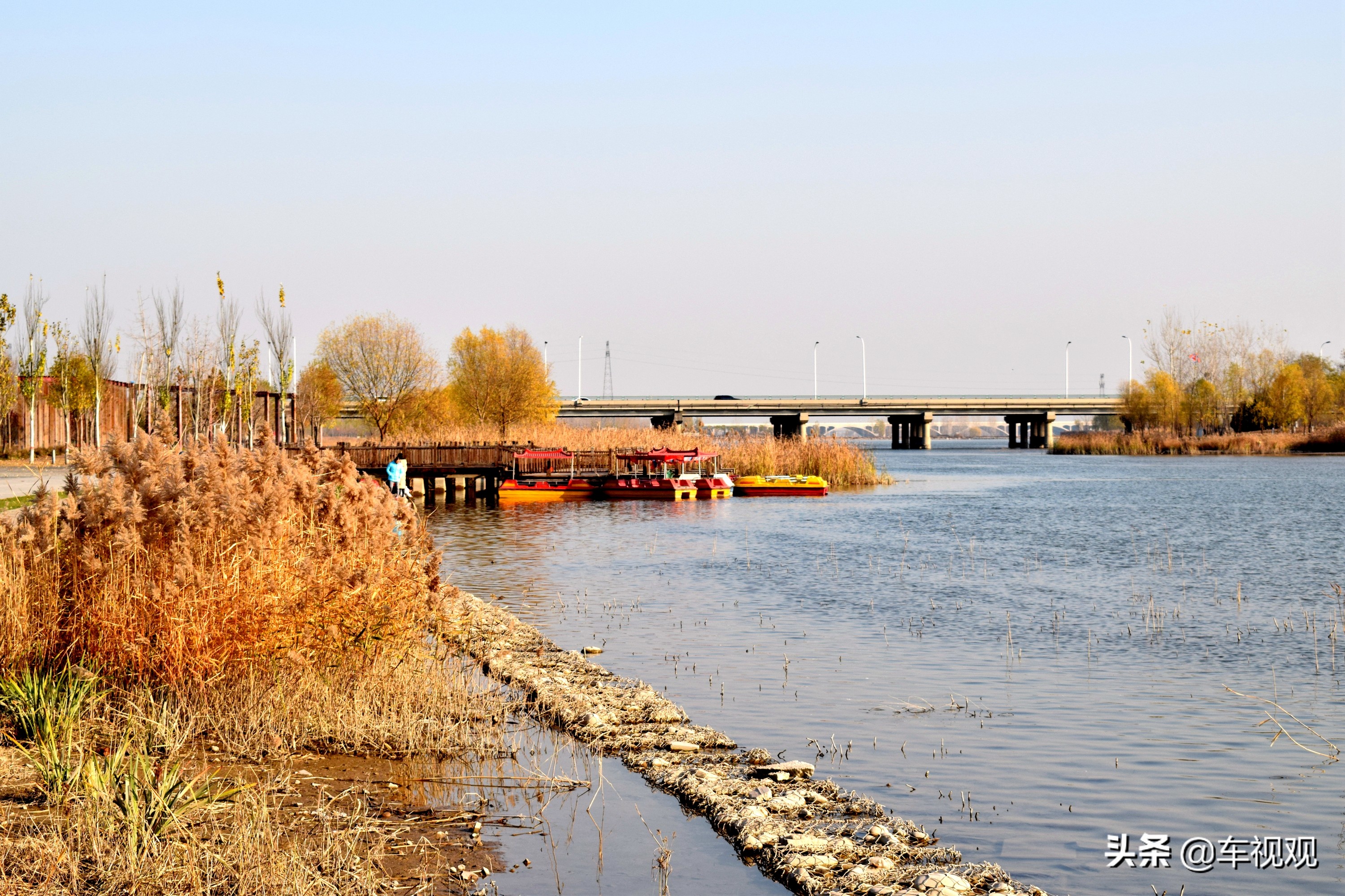 飞度车主换奥德赛习惯吗,全新飞度顶配版动力